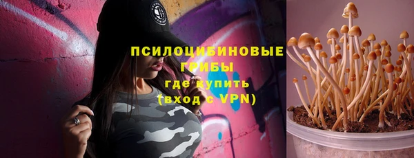 амф Алзамай