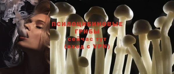 молекула духа Алексин