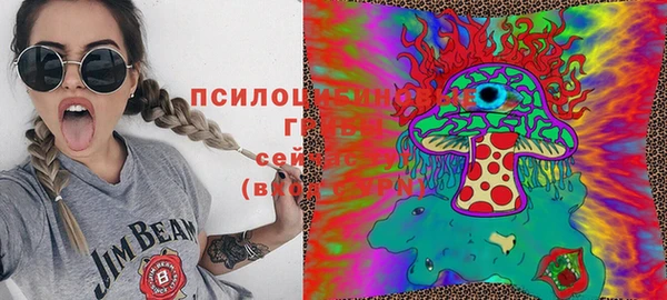 молекула духа Алексин