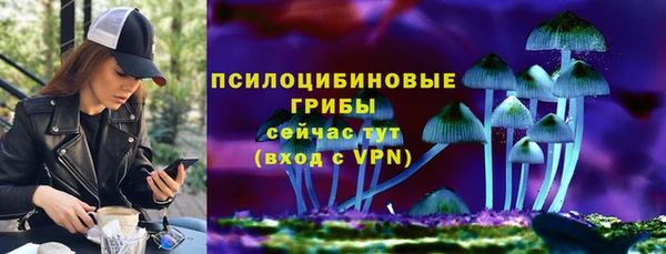амф Алзамай