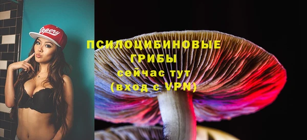 амф Алзамай