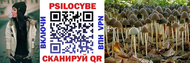 Галлюциногенные грибы Cubensis  Медынь 